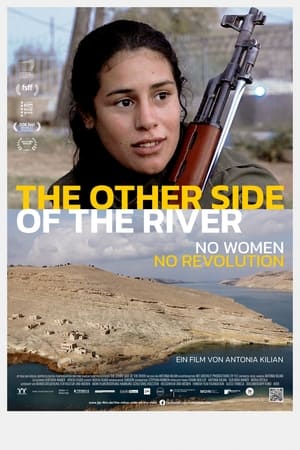 Poster The Other Side of the River 2021