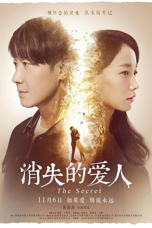 Poster 消失爱人 2016