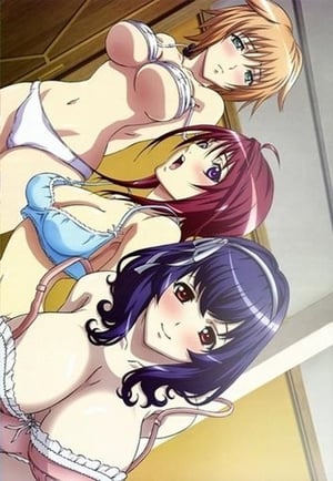 Seikon no Qwaser: Odcinki specjalne