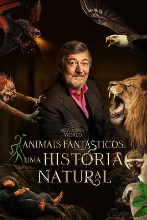 Animais Fantásticos Uma História Natural - Poster