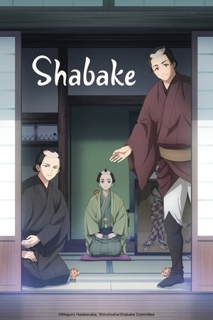 Shabake (2025)