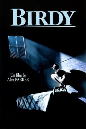 Poster Birdy 1984