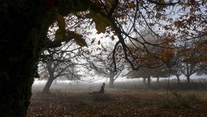 El cielo, la tierra y la lluvia