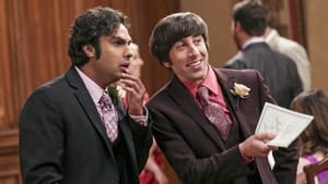 The Big Bang Theory Season 11 Episode 24