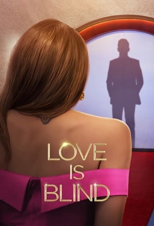 Love Is Blind (2020) (Season 01-02) WEB-DL 720p Dual Audio ( Hindi + English ) x264 ESub