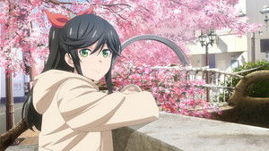 Kirei Ni Shitemoraemasu Ka.