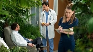 Grey’s Anatomy 15 x Episodio 18