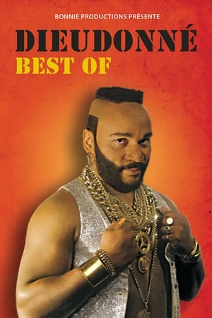 Poster Dieudonné - Best Of (2007)