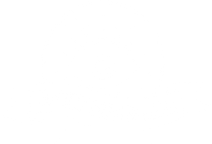 Bisbilhotices da Brisa