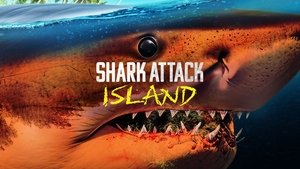 Shark Attack Island | StreamHub