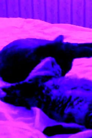 Sylvi & Szowska: A Sensual Tail -test footage 1-