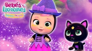 Épisode 6