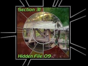 Image Section 31: Hidden File 09 (S01)