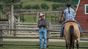 Heartland: 9×5