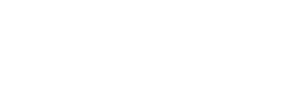 Ảnh 49