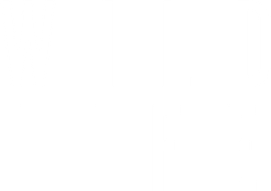 Wild Life — Logos 2