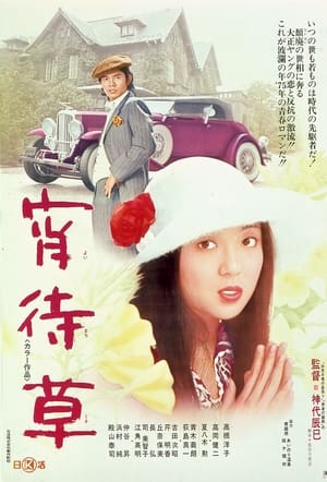 Poster 宵待草 1974