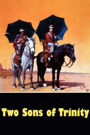 Poster Two Sons of Trinity (1972)