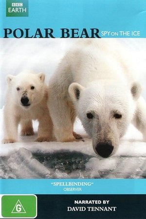 Poster Polar Bear - Spy on the Ice 2011