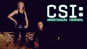 poster CSI: Crime Scene Investigation