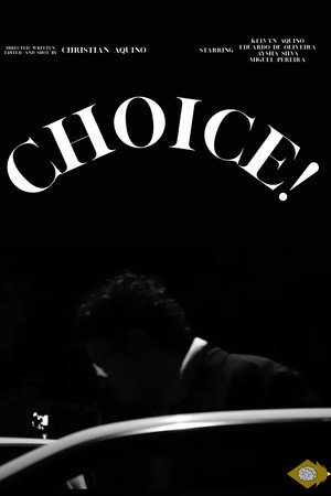 Choice 3