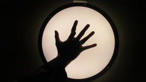 The Frankfurt Specimen: 2099