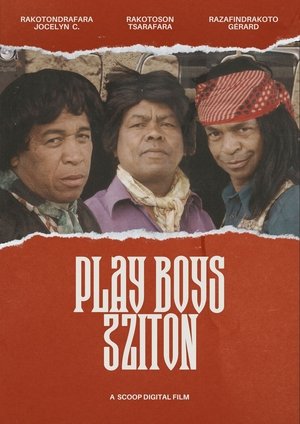 Poster Play Boys 3zition 2010