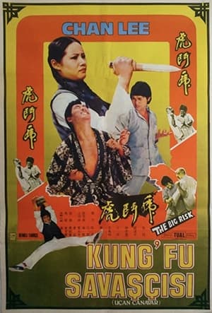Poster Kung Fu Conspiracy 1974