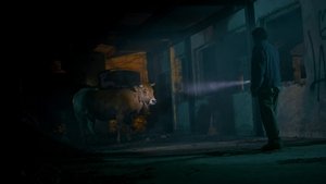Images posters