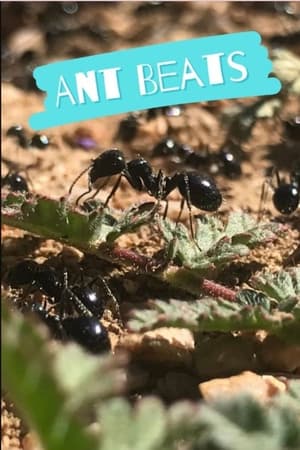 Ant Beats