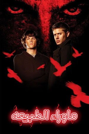<Images posters