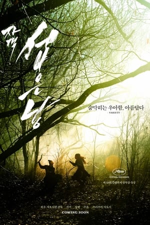 Poster 자객 섭은낭 2015