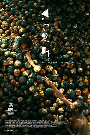 Roid 9