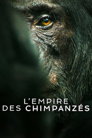 L'Empire des chimpanzés movie poster