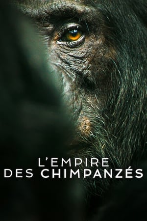 Image L'Empire des chimpanzés