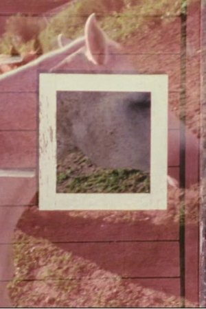 Nonton film Stable (2003) terbaru sub indo Nonton film Stable (2003) terbaru sub indo