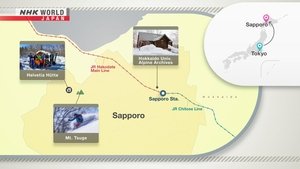 Journeys in Japan: 14×10