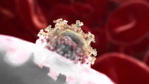 Virus Destrucción y Creación