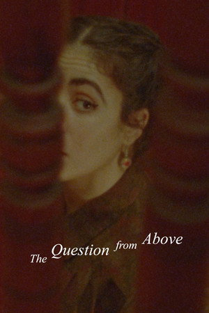The Question from Above 2