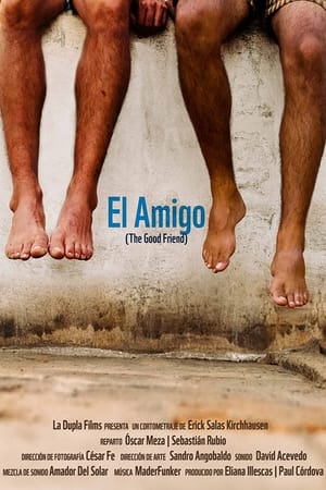 Poster El amigo 2017