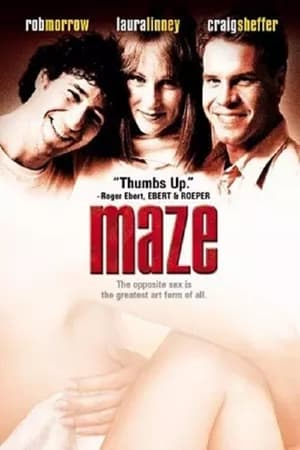 Poster Maze (2001)