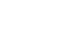 서프라이즈 미스터리 살롱 — Logos 1