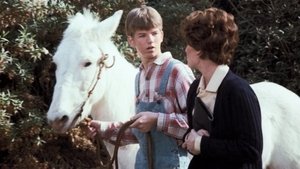 Épisode 18