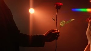 DARK SIDE OF THE 2000S The Bachelor:  Every Rose has Its Thorn