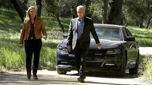 NCIS: 14×22