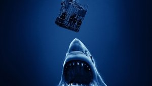 Open water 3 – Cage dive (2017)