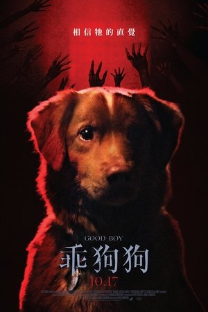 Image Good Boy