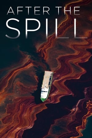 Poster After the Spill (2015)