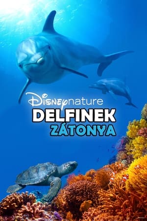 Poster Delfinek Zátonya 2018