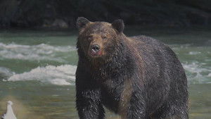 Still from Episode 1